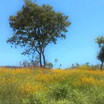 O Homem ベッド・アンド・ブレックファスト 3*