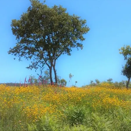 O Homem Alojamento de Acomodação e Pequeno-almoço 3*