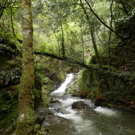 Oda ve Kahvaltı O Homem 3*