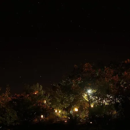 O Homem Alojamento de Acomodação e Pequeno-almoço Penela