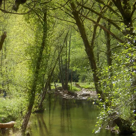O Homem Alojamento de Acomodação e Pequeno-almoço