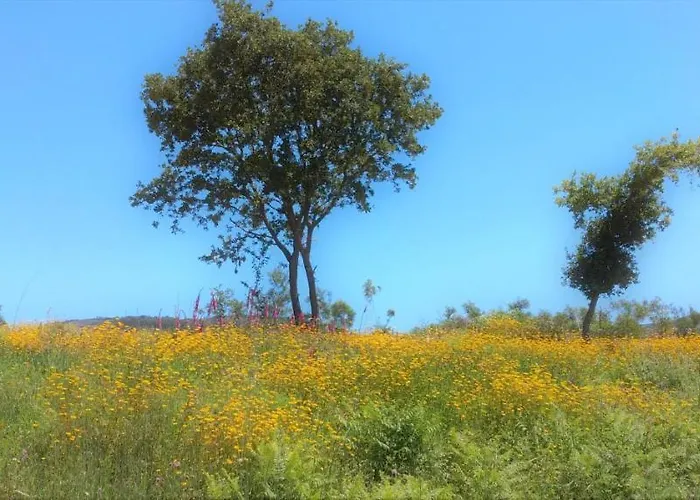 O Homem Bed & Breakfast 3*