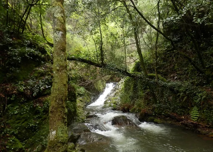 לינה וארוחת בוקר O Homem 3*