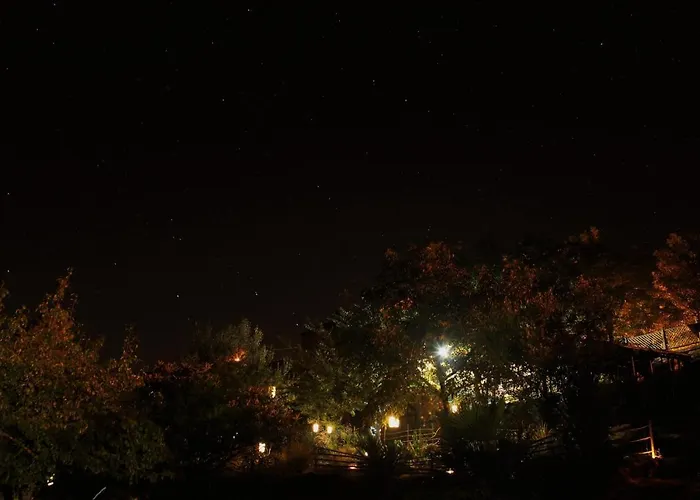 O Homem Bed & Breakfast Penela