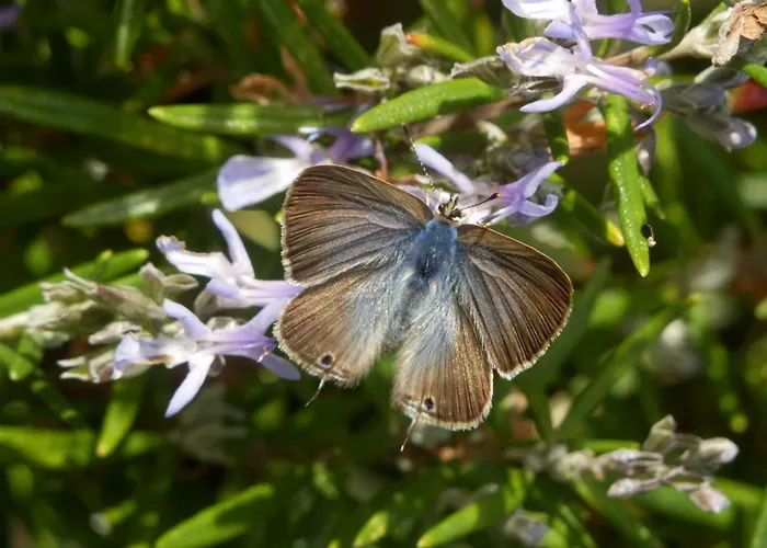 Bed & Breakfast O Homem 3*