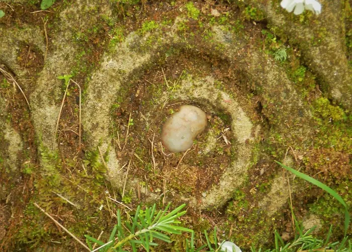 Bed & Breakfast O Homem