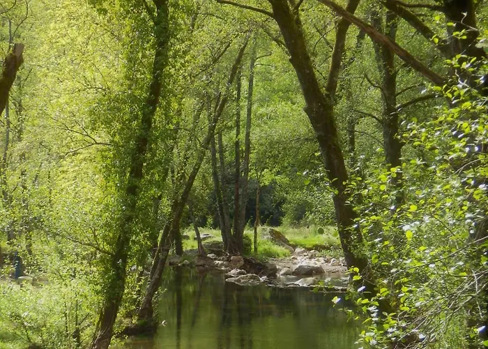 O Homem Bed & Breakfast