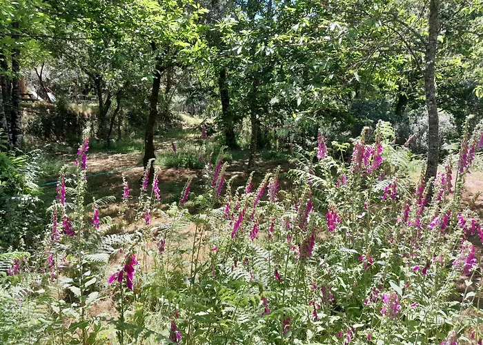 O Homem Bed & Breakfast 3*